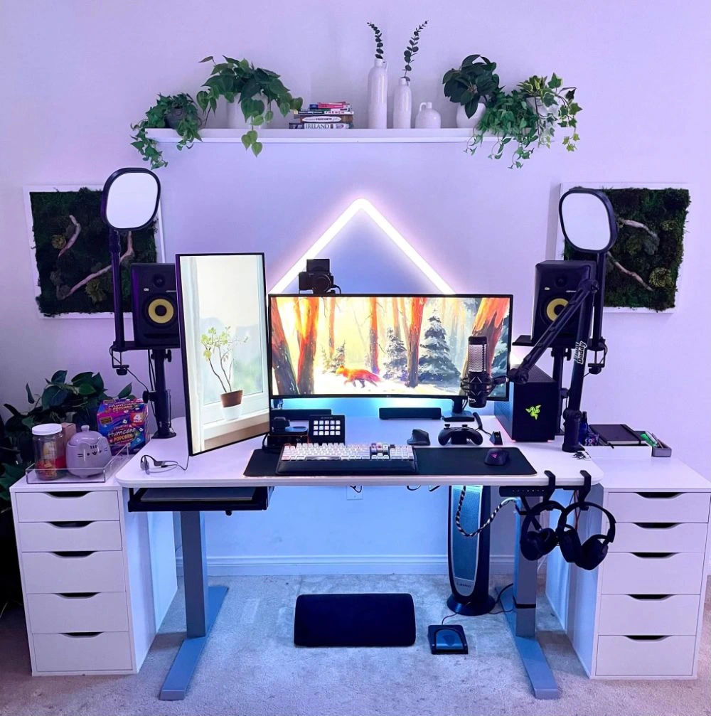 Minimalist Streaming Gaming Room Setup