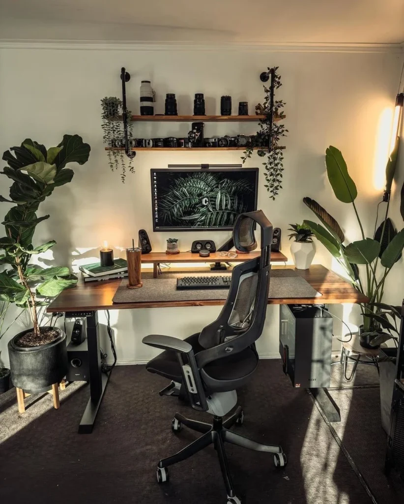Minimalist Black and White Home Office with Plants