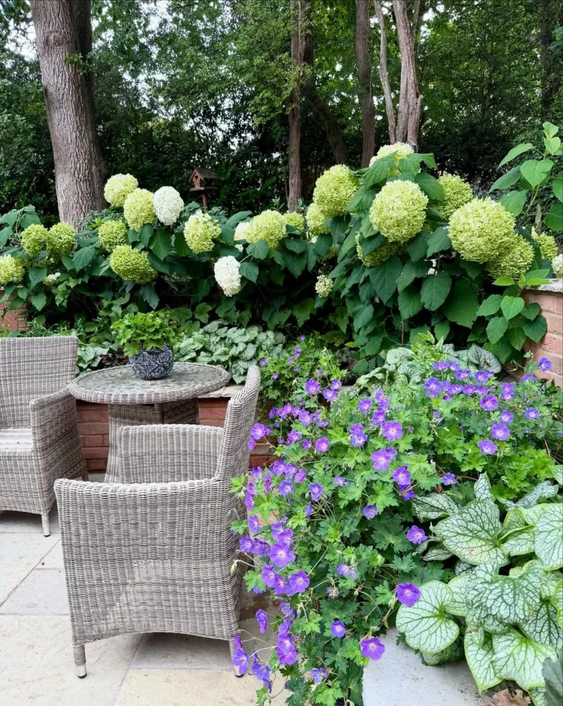 Elegant Hydrangea Pergola Garden