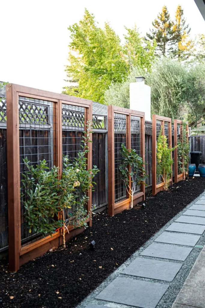 Vine Covered Wooden Trellis Panels