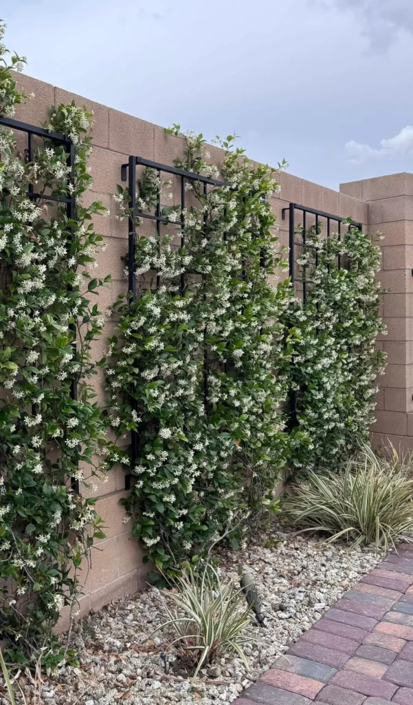 Cozy Hedged Trellis Lounge