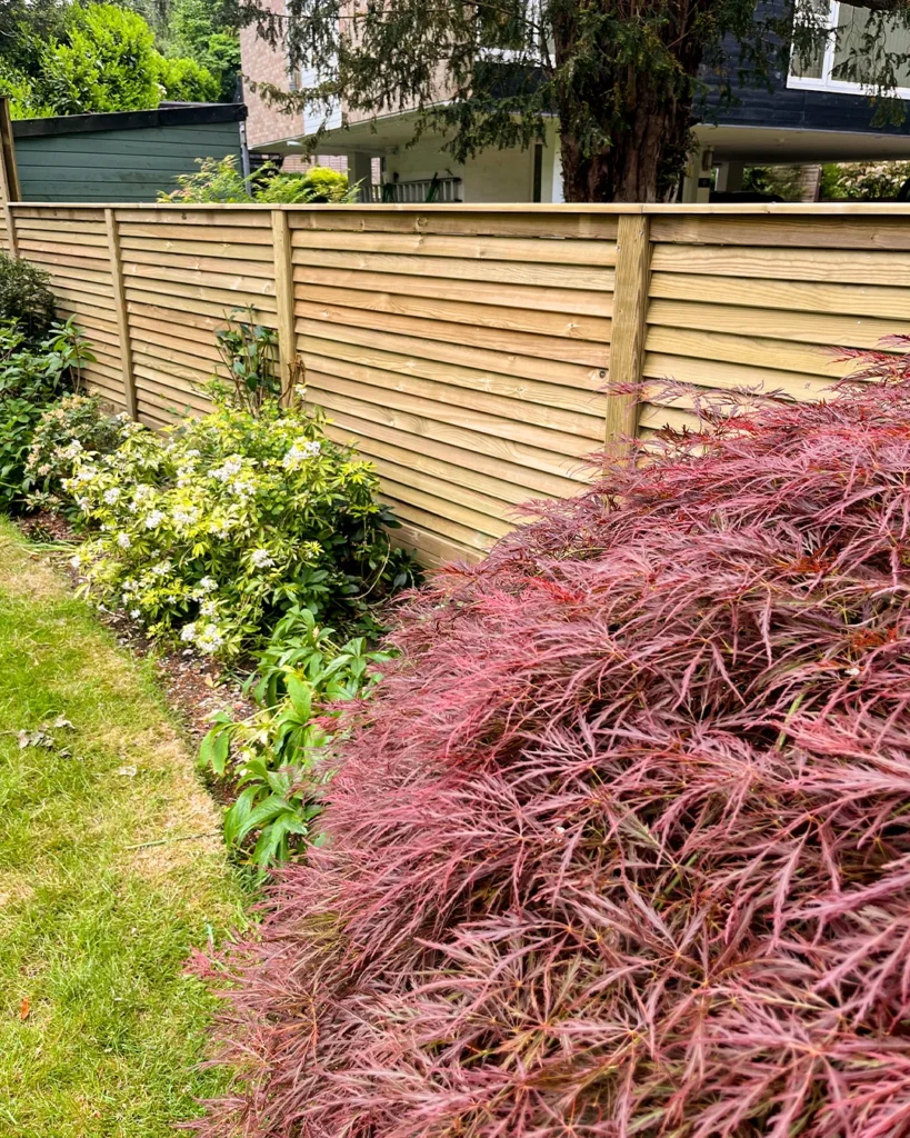 Modern Cedar Privacy Fence