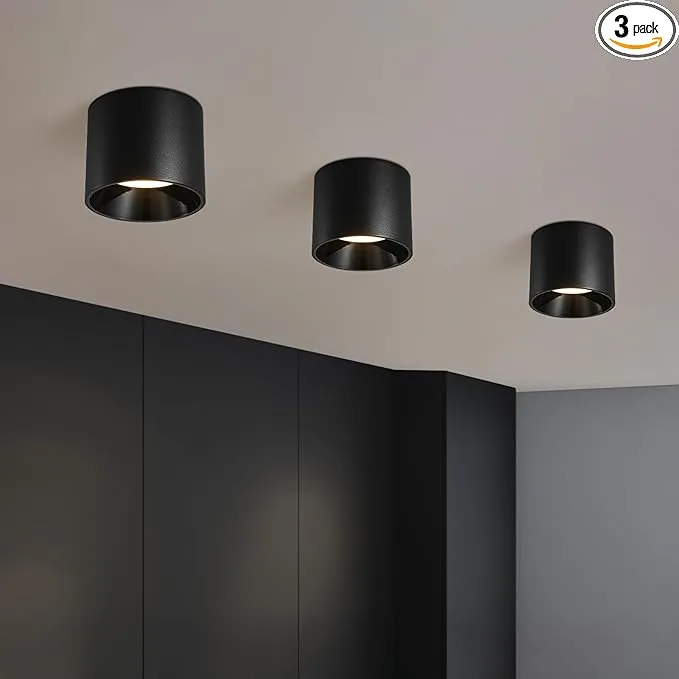 51C NvmSY L. AC SX679 PIbundle 3TopRight00 SH20