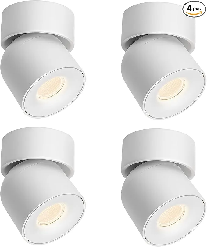 61qHx4A4x1L. AC SX679 PIbundle 4TopRight00 SH20