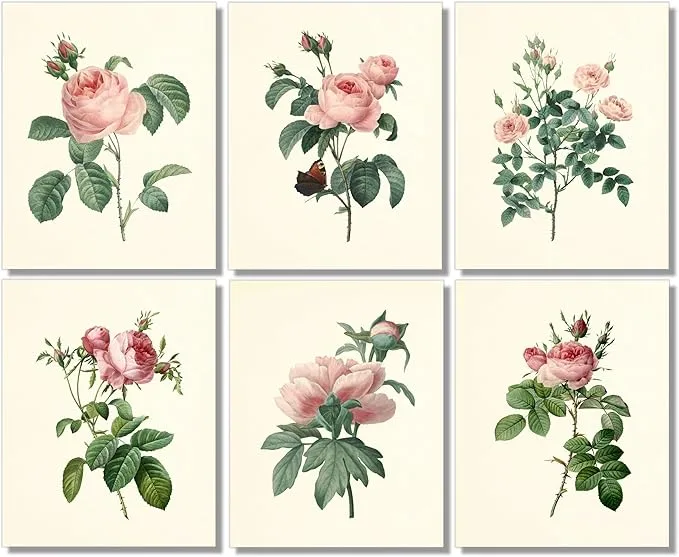 812XX1yeslL. AC SX679