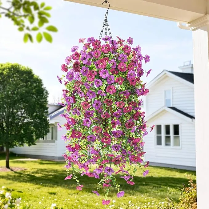 81w HvZzPtL. AC SX679