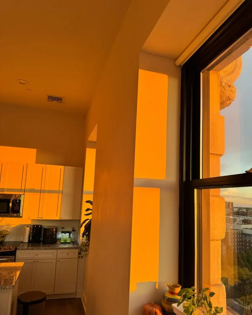 Warm Golden Hour Lighting