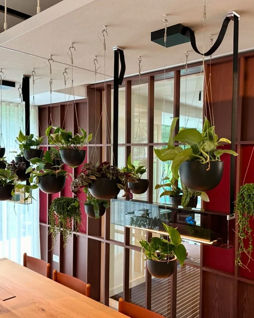 Hanging ferns and trailing greenery