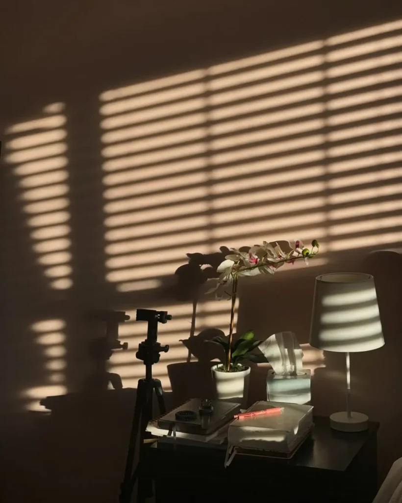 Soft Shadow Play Effects