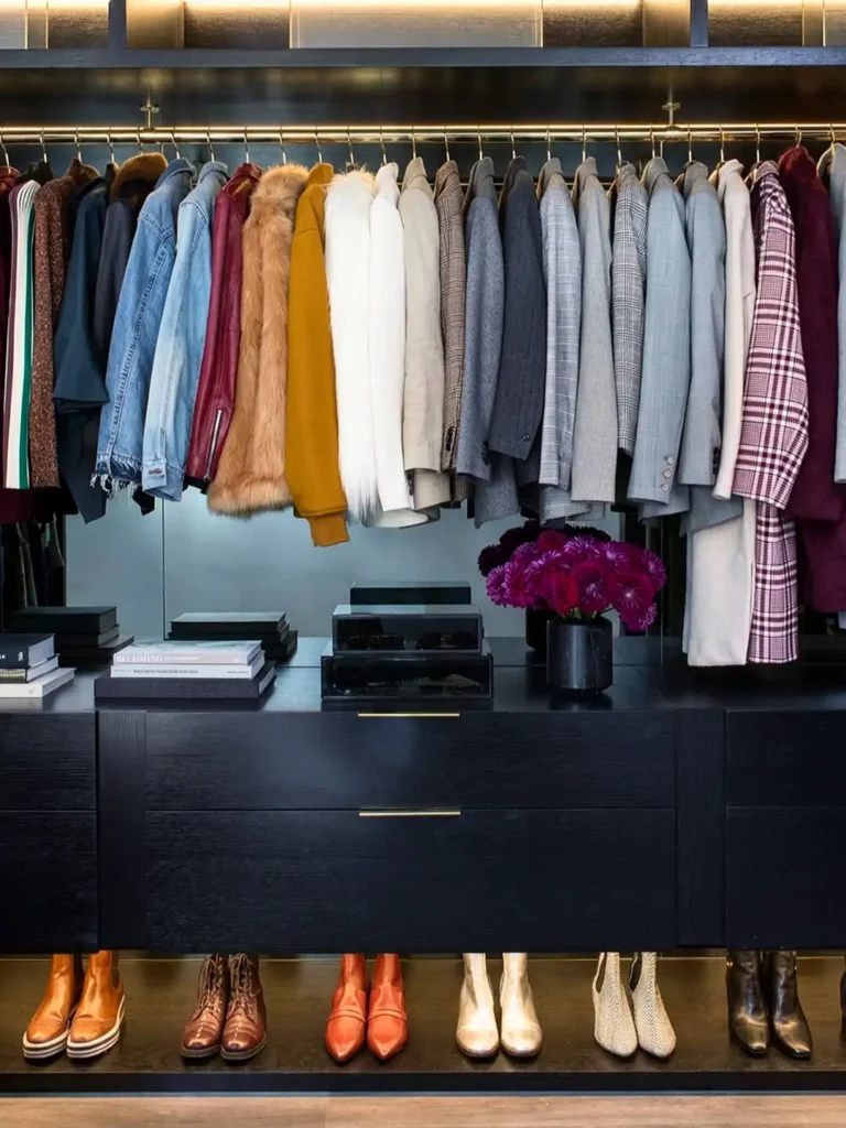 Contemporary Closet Cabinetry