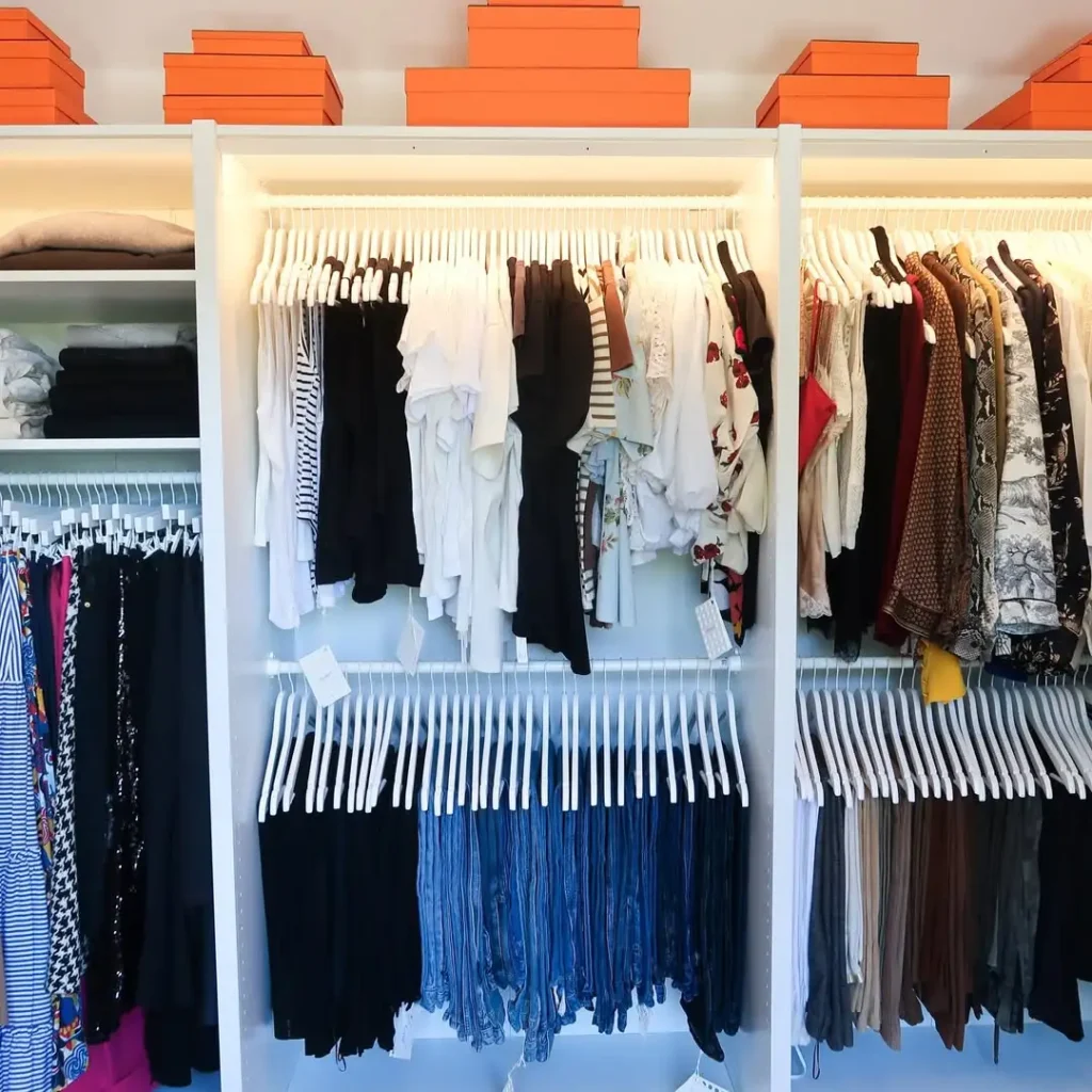 Aesthetic Hanger Organization