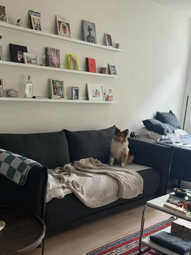 17 Sofa Back Wall Design Ideas for Stylish Homes 15 Floating Shelf Decor Above Sofa