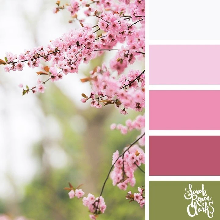 PINK FLORALS 🥰🌸 Which of these floral color schemes is your favorite Color Palettes 396 4