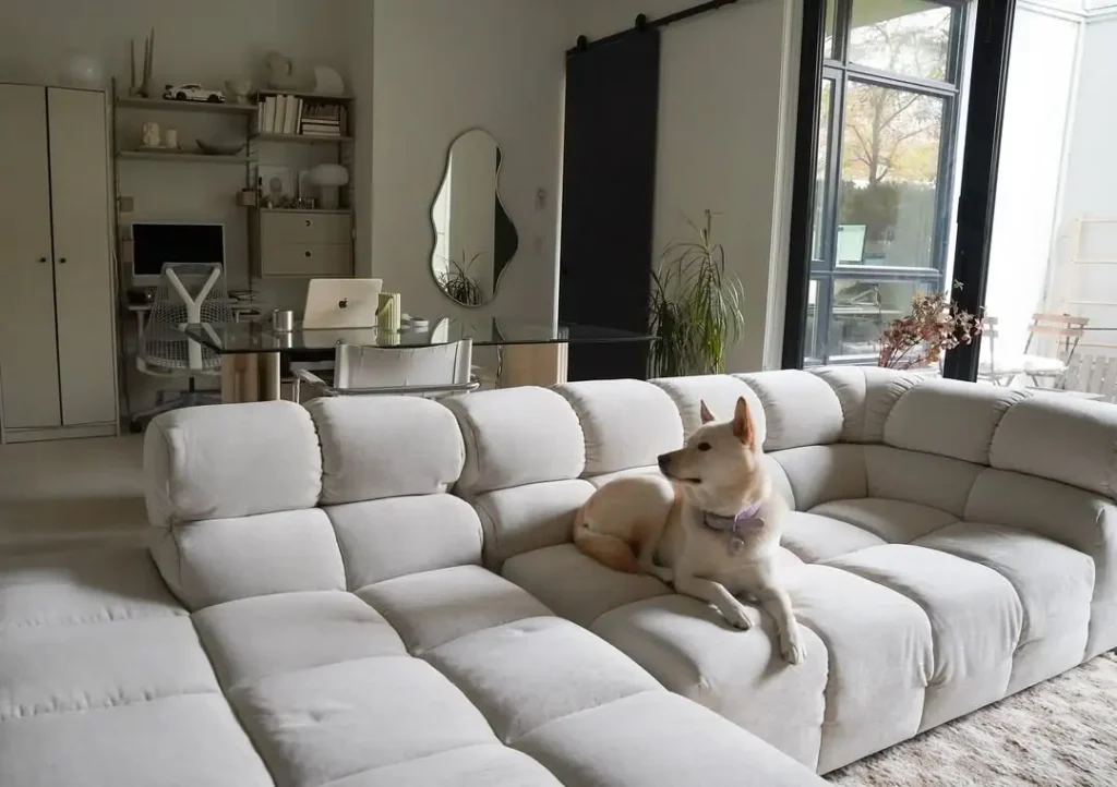 18 Sofa Design for Living Rooms You’ll Love 33 Modern Tufted Sofas