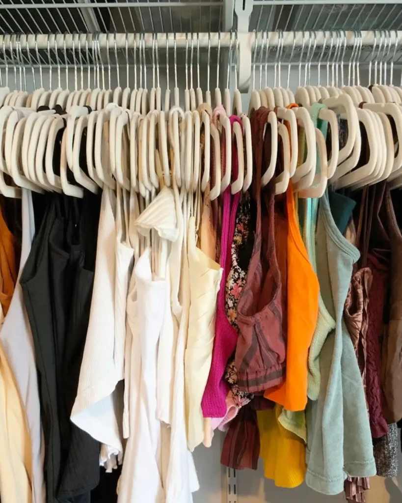  Slim Velvet Hangers Organization