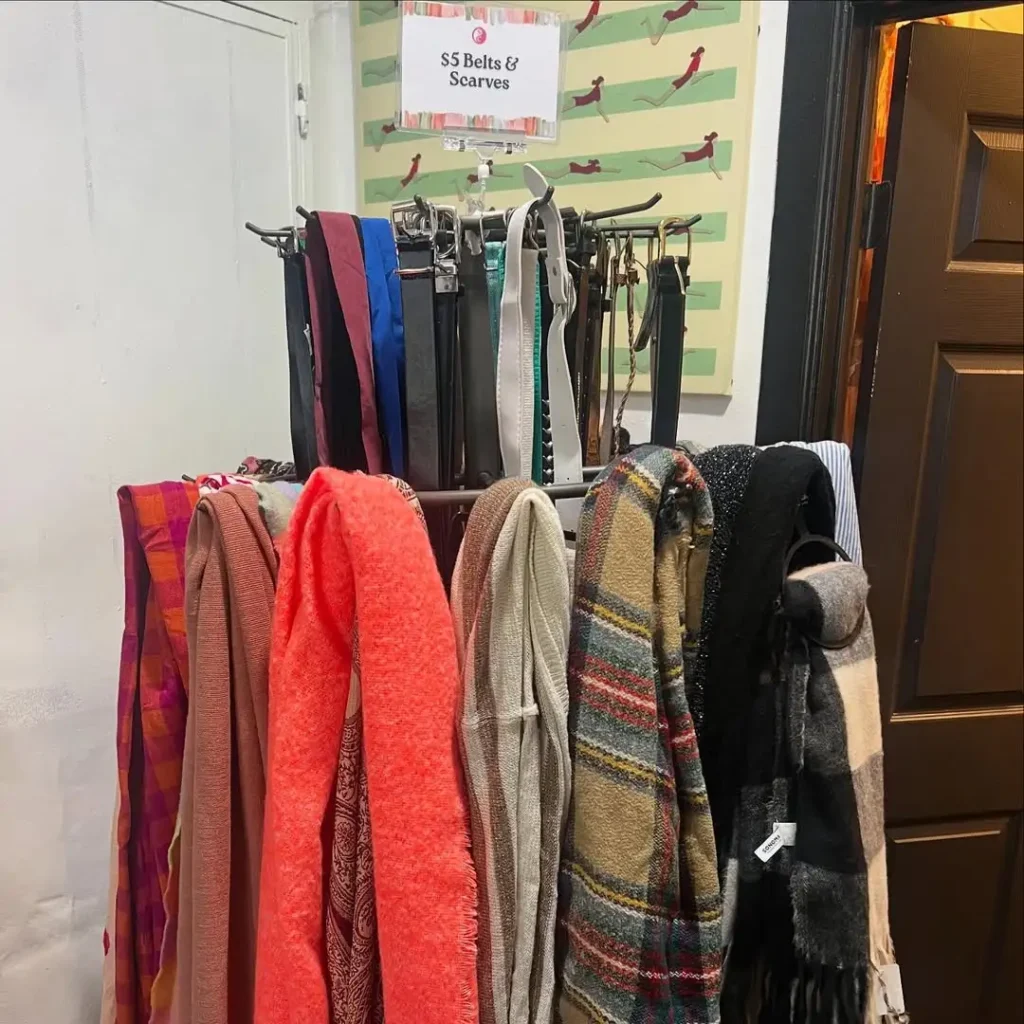 Belt and Scarf Organizers